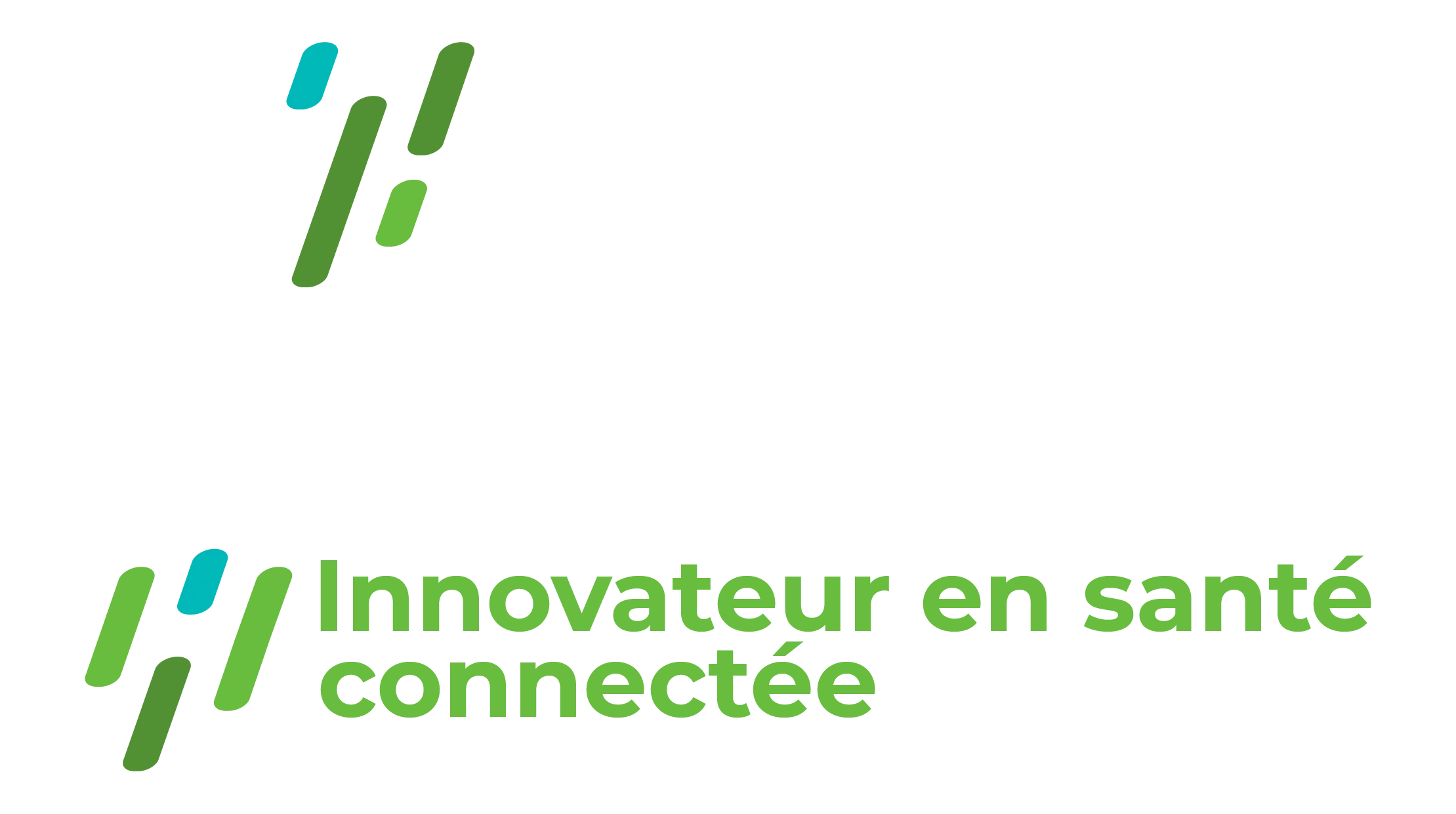 Logo TMM Software